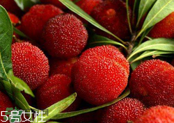 ?楊梅和李子能一起吃嗎？楊梅和李子一起吃會中毒嗎？