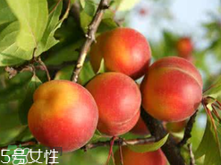 ?楊梅和李子能一起吃嗎？楊梅和李子一起吃會中毒嗎？