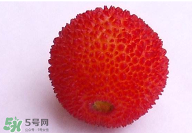 楊梅籽可以吃嗎？吃楊梅籽有什么好處？