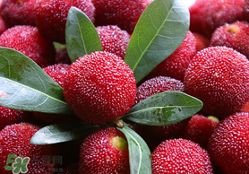 楊梅籽可以吃嗎？吃楊梅籽有什么好處？