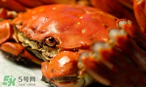 為什么說六月黃有公蟹沒有母蟹？怎樣區(qū)分螃蟹的公母