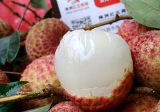 白糖罌荔枝怎樣保果的？白糖罌荔枝和白蠟的區(qū)別