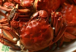 六月黃公蟹好還是母蟹好？六月黃公蟹里面的是黃嗎？