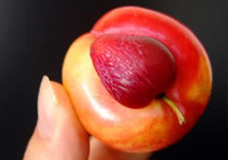 紅心李子孕婦可以吃嗎？紅心李子營養(yǎng)價值