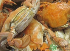 花蓋蟹死了能吃嗎？花蓋蟹死多久之內(nèi)能吃？