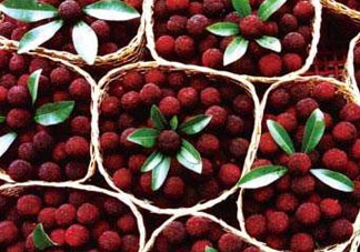 ?楊梅和李子能一起吃嗎？楊梅和李子一起吃會中毒嗎？