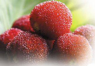 楊梅和黃瓜可以一起吃嗎？吃完楊梅可以吃黃瓜嗎？