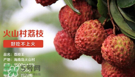 荔枝王是什么品種？荔枝王多少錢一斤2017？