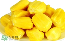 菠蘿蜜軟了還能吃嗎？菠蘿蜜軟了怎么辦？