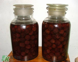 泡楊梅酒用什么瓶子？楊梅酒可以用塑料瓶泡嗎？