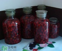 泡楊梅酒用什么瓶子？楊梅酒可以用塑料瓶泡嗎？