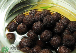 泡楊梅酒楊梅要洗嗎？泡楊梅酒楊梅要不要洗？