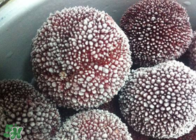 楊梅在冷凍室能放多久？楊梅冰凍后還能吃嗎？