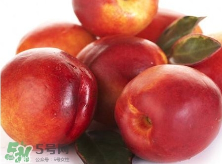 桃駁李孕婦可以吃嗎？孕婦能吃桃駁李嗎？