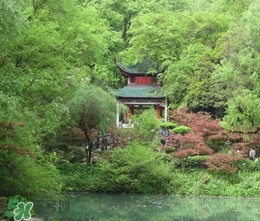 7月份去長(zhǎng)沙穿什么？七月份去長(zhǎng)沙穿什么衣服