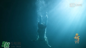 諜紙?zhí)煅酆屯鸂I有什么關(guān)系？