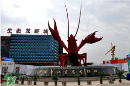 2017潛江龍蝦節(jié)門票多少錢？2017潛江龍蝦節(jié)門票