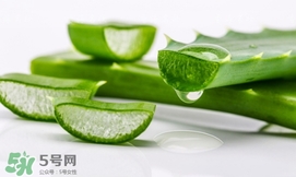 蘆薈面膜要敷多久？蘆薈面膜多久敷一次