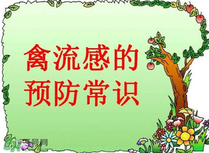 6月有禽流感嗎？2017年6月有禽流感嗎？