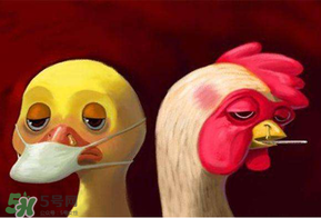 6月有禽流感嗎？2017年6月有禽流感嗎？