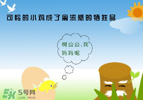 6月有禽流感嗎？2017年6月有禽流感嗎？