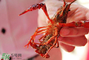 2017盱眙龍蝦節(jié)幾天？從什么時(shí)候開始到什么時(shí)候結(jié)束？