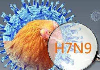 6月有禽流感嗎？2017年6月有禽流感嗎？