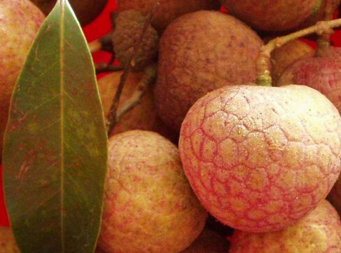 黑葉荔枝好吃嗎？黑葉荔枝多少錢一斤2017？