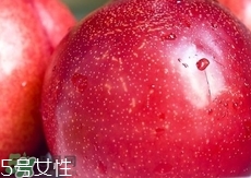 桃駁李是轉基因嗎？桃駁李是不是轉基因