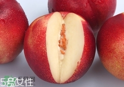 桃駁李是油桃嗎？桃駁李和油桃的區(qū)別