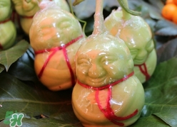 人參果怎么長成人形？人參果為什么長得像人