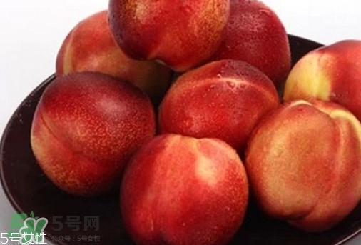 桃駁李是轉基因嗎？桃駁李是不是轉基因