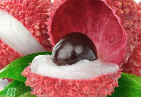 荔枝王是什么品種？荔枝王多少錢一斤2017？