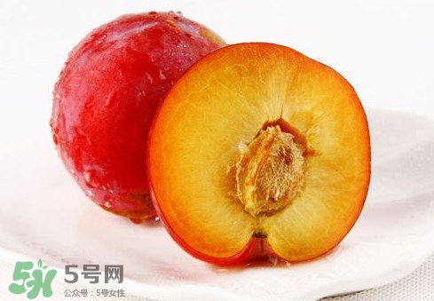 紅布林和黑布林哪個好？紅布林與黑布林的區(qū)別