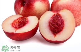 桃駁李是油桃嗎？桃駁李和油桃的區(qū)別