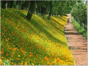 7月份去浙江穿什么？七月份去浙江穿衣搭配