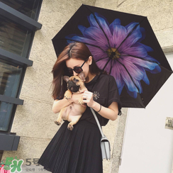 蕉下太陽傘怎么樣？蕉下小黑傘防曬效果好嗎？