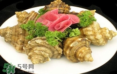 海螺是蒸還是煮？海螺的尾部是黃還是屎