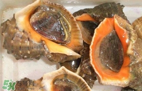 海螺是發(fā)物嗎？海螺是不是發(fā)物