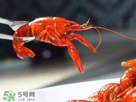 潛江小龍蝦有什么特色？潛江龍蝦節(jié)是每年什么時(shí)候？ 