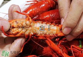 潛江小龍蝦和盱眙小龍蝦哪個(gè)有名？哪個(gè)好吃？