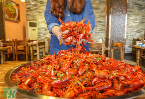 潛江小龍蝦和盱眙小龍蝦哪個(gè)有名？哪個(gè)好吃？