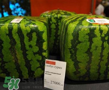 方形西瓜哪里有賣的？哪里可以買到方形西瓜