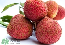 黑葉荔枝和妃子笑哪個(gè)好吃？黑葉荔枝和妃子笑的區(qū)別