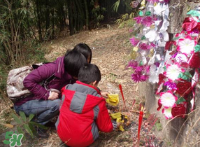 2017父親節(jié)可以上墳嗎？父親節(jié)能給父親上墳嗎？