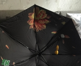 蕉下小黑傘能遮雨嗎？蕉下太陽傘能淋雨嗎？