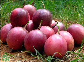 百香果好吃嗎？百香果什么味道？