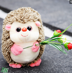 cafemimi玻尿酸鴨哪里有？cafemimi玻尿酸鴨怎么買？