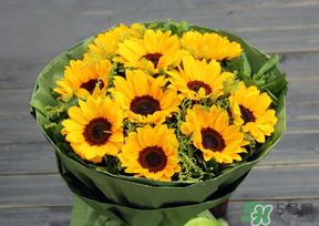 父親節(jié)可以送花嗎？父親節(jié)送什么花最合適？