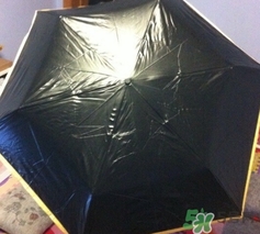 黑檸檬小黑傘好嗎？黑檸檬太陽傘怎么樣？